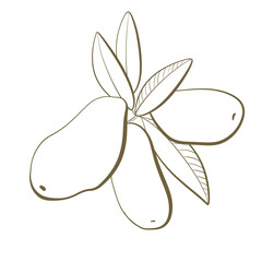 outline sketch line edible berry honeysuckle with leaves in watercolor style simple design element for printing packaging icons food and cosmetics