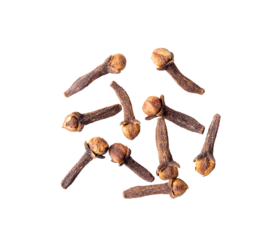 Dry clove isolated on  transparent png
