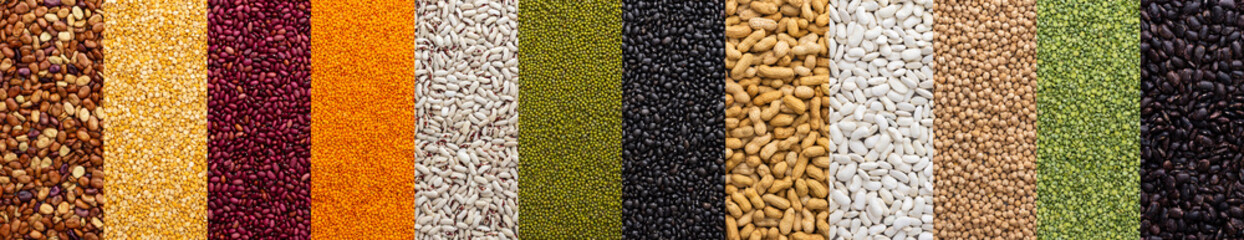 Banner of different types of legumes , chickpeas and peas, colorful beans and lentils, mung beans and peanuts, top view
