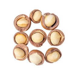 Macadamia nut seeds isolated on  transparent png
