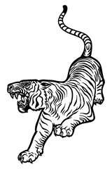 Fototapeta na wymiar Tiger roaring - vector illustration - Out line