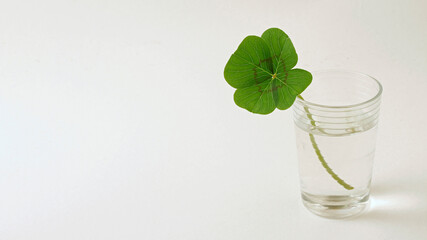 Four leaf clover.