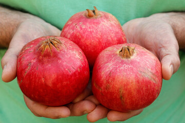 Pomegranates.
