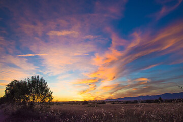 Colorful landscape with trees at sunset