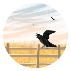 Fototapeta premium Round composition. A crow sits on a fence near a field. Wild crow Corvus corax. Realistic vector landscape
