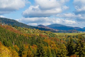 Fototapeta na wymiar Beautiful autumn forest in the Carpathian mountains on a sunny autumn day on the Synevyr Pass ridge and blue sky background. Ukraine