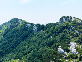Fototapeta na wymiar The Peaks northern Small Risnjak (1,428) and southern Small Risinjak (1,446) in Risnjak National Park, Crni Lug - Croatia (Vrhovi južni i sjeverni Mali Risnjak u nacionalnom parku Risnjak - Hrvatska)