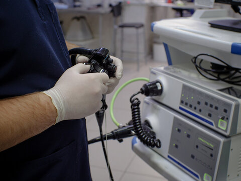 In a veterinary clinic, an endoscopic examination of the gastrointestinal tract of an animal is performed. The veterinarian controls the direction of the gastroscope probe with his fingers.