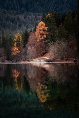 The beach of Lake Tovel during the autumn season