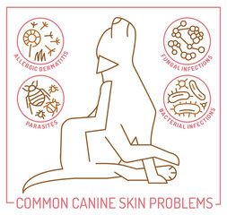 Dog skin problems infographic. Editable vector illustration