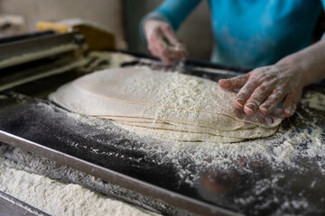 woman processing dough