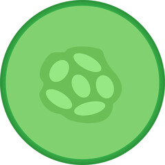Cucumber. Piece of Juicy cucumber closeup isolated jpeg and png file format