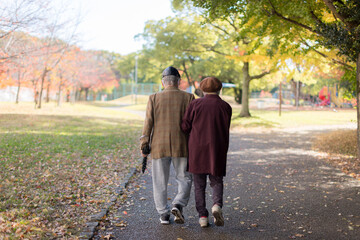 秋の公園で散歩しいているシニア夫婦の後ろ姿