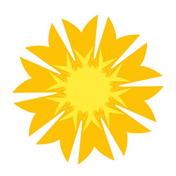 Sunflower blossom vector illustration set. Sunflower, aster, marigold flower illustration design set. Yellowish color