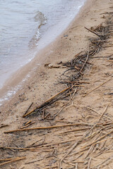 sand dunes on the beach