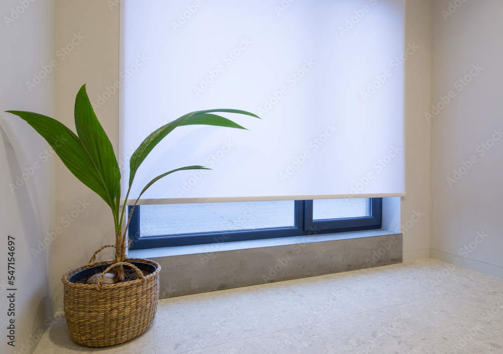 Aufkleber roller shade motorized in the interior. automatic roller blinds white color on big window. remote co