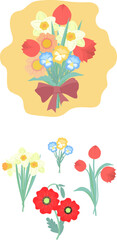  set of summer and spring flowers: poppies, daffodils, pansies, tulips.