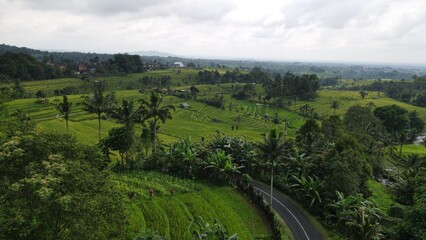 Bali, Indonesia - November 13, 2022: The Jatiluwih and Sidemen Terrace Rice Fields