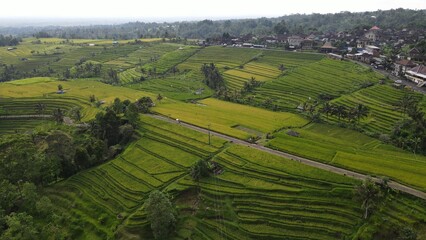 Bali, Indonesia - November 13, 2022: The Jatiluwih and Sidemen Terrace Rice Fields