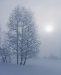 paysage d'hiver dans la brume