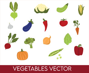 Set of vegetable vector. Hand drawing vegetables. Vector illustration