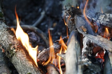 Gros plan de feu de camp