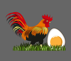 Obraz na płótnie Canvas Rooster and big egg on green grass. Cartoon characters. Vector illustration