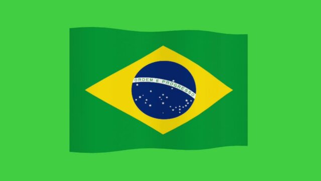 footage of the Brazilian flag fluttering, perfect for, ceremonies, parties, advertisements, editing, etc
