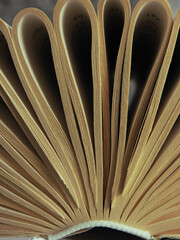 Close-up of book pages