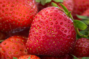 Close-up view of strawberries 