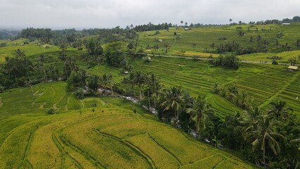 Bali, Indonesia - November 13, 2022: The Jatiluwih and Sidemen Terrace Rice Fields