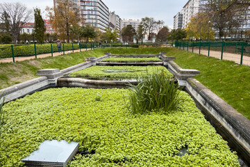 Green foliage at Ambiorix square in Brussels