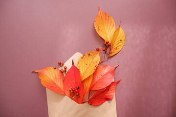 Autumn greeting concept background. Colorful autumn leaves and berries on brown background. Thanks giving, Halloween and Autumn event decorative elements.