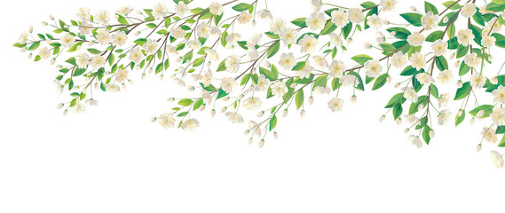 Obraz na płótnie Canvas Flowering branch of a fruit tree with a with white flowers, cut off from the background, isolated object. Raster illustration.