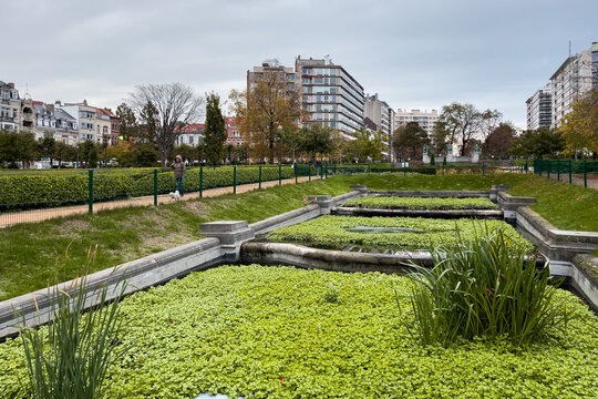 Green foliage at Ambiorix square in Brussels