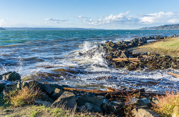 Windy Park Shoreline Waves 4