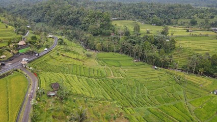 Fototapeta na wymiar Bali, Indonesia - November 13, 2022: The Bali Terrace Rice Fields