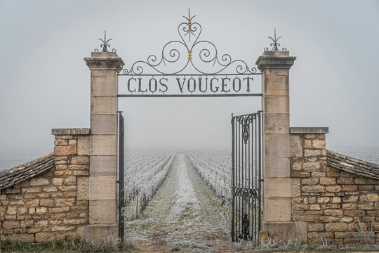 Front shot of the Clos Vougeot gates leading to vineyards in Burgundy, France in winter