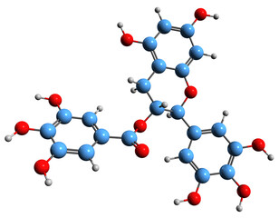  3D image of Gallocatechin gallate skeletal formula - molecular chemical structure of epigallocatechin-3-gallate isolated on white background
