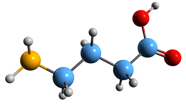  3D image of gamma-aminobutyric acid skeletal formula - molecular chemical structure of 3-Carboxypropylamine isolated on white background
