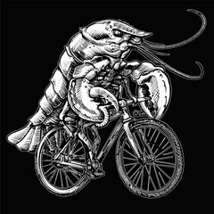 Sketch illustration of a lobster on a bike print for t-shirt