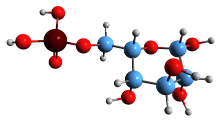  3D image of Glucose 6-phosphate skeletal formula - molecular chemical structure of D-Glucopyranose 6-phosphate isolated on white background
