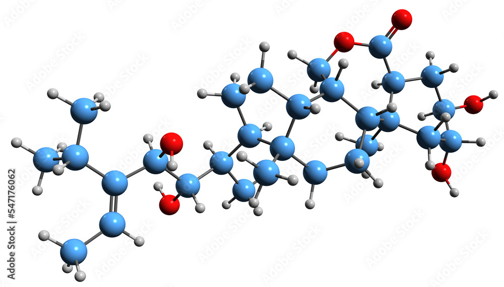 Sticker  3D image of Homodolichosterone skeletal formula - molecular chemical structure of 28-Methyldolichosterone isolated on white background
