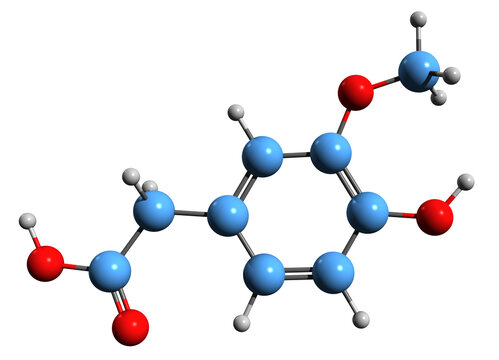 3D image of Homovanillic acid skeletal formula - molecular chemical structure of major catecholamine metabolite isolated on white background
