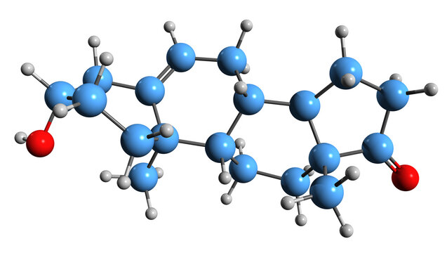 3D image of Dehydroepiandrosterone skeletal formula - molecular chemical structure of  steroid hormone precursor DHEA isolated on white background
