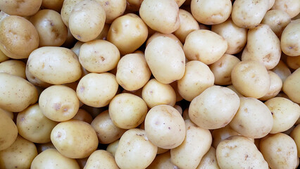 fruits and vegetables
