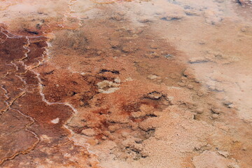 abstraction in red and brick colors