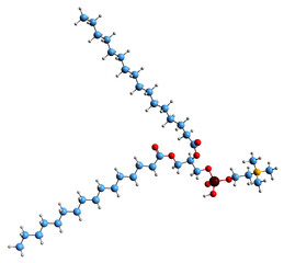  3D image of Dipalmitoylphosphatidylcholine skeletal formula - molecular chemical structure of  phospholipid isolated on white background
