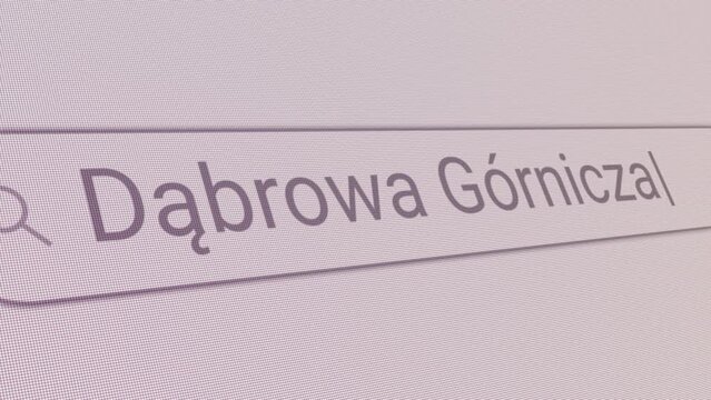 Search Bar Dabrowa Gornicza 
Close Up Single Line Typing Text Box Layout Web Database Browser Engine Concept