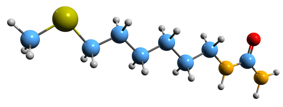 3D image of Diptocarpain skeletal formula - molecular chemical structure of alkaloid isolated on white background
